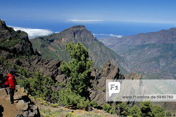 Trekker looking at surrounding landscape  Parque Nacional de la Caldera de Taburiente  La Palma  Canary Islands  Spain  Atlantic  Europe