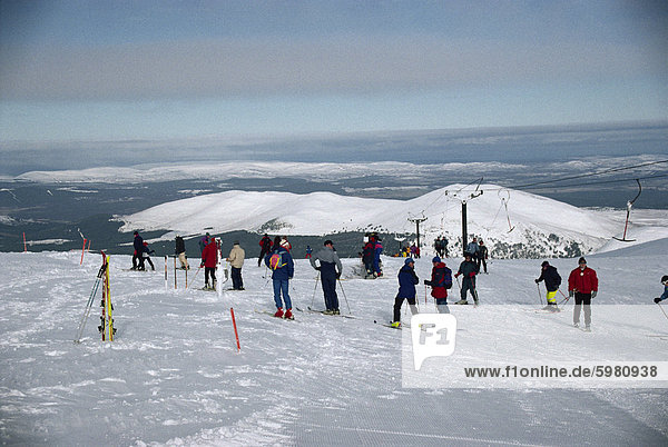 Skiers on the slopes of Aviemore  in the Cairngorms  Highlands  Scotland  United Kingdom  Europe