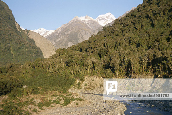 Blick auf Fluss und Wald bis zu Gipfel von Mount Cook  Westland  Südalpen  Südinsel  Neuseeland  Pazifik