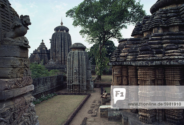 Tempel in Bhubaneswar  Orissa Zustand  Indien  Asien