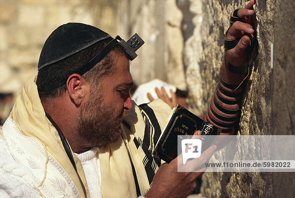 Nahaufnahme eines Juden Schal  Schädel-Mütze und Phylakterium mit und ein Buch  betet an der Klagemauer in Jerusalem  Israel  Naher Osten