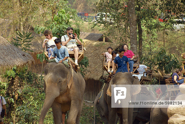 Tourists taking elephant ride at Elephant Show  near Chiang Mai  Thailand  Southeast Asia  Asia