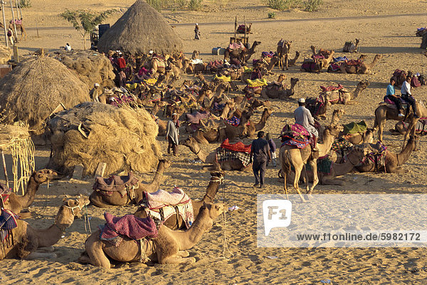 Sam Sanddünen in der Dämmerung  in der Nähe von Jaisalmer  Rajasthan  Indien  Asien