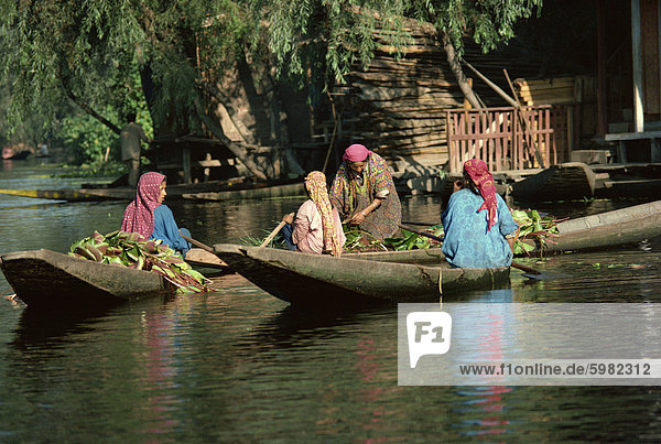 Kashmiri Frauen  Dal-Lake  Srinagar  Kaschmir  Indien  Asien
