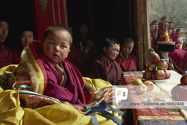 A living Buddha at the Tibetan Uppasilutan Monastery  northeast Qinghai  China  Asia