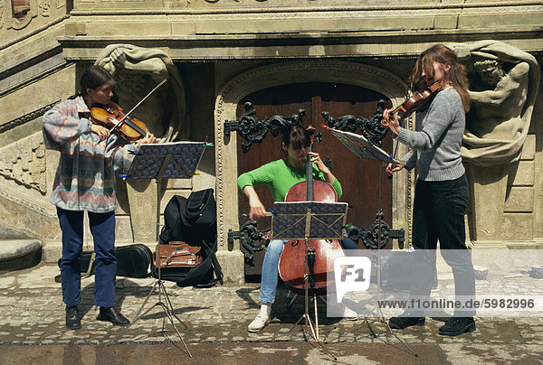 Musiker als Straßenmusikant außerhalb Rathaus  Danzig  Pommern  Polen  Europa