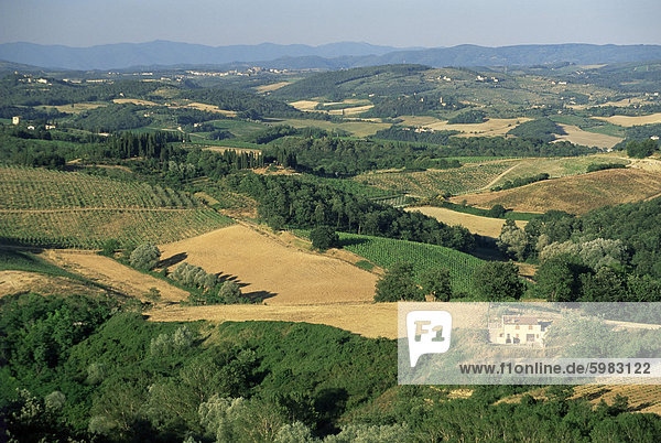 Blick über Agrarlandschaft  San Gimignano  Toskana  Italien  Europa