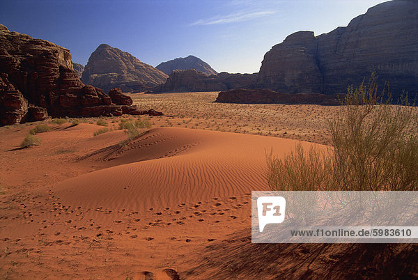 Der Wüste im Wadi Rum  Jordanien  Naher Osten