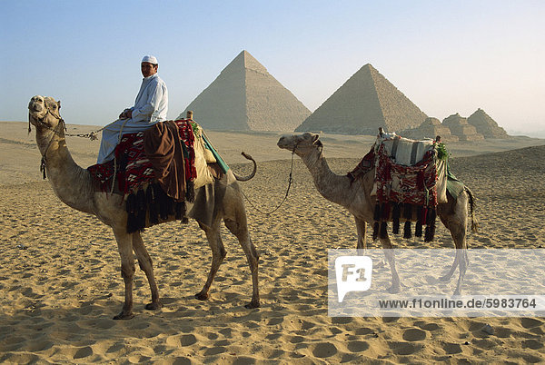 Kamele und Fahrer auf die Pyramiden von Gizeh  UNESCO Weltkulturerbe  Gizeh  Kairo  Ägypten  Nordafrika  Afrika
