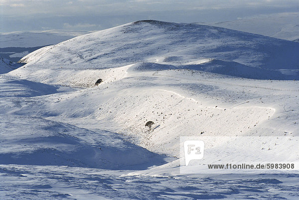 The Cairngorms in winter  (used for skiing)  Highlands  Scotland  UK