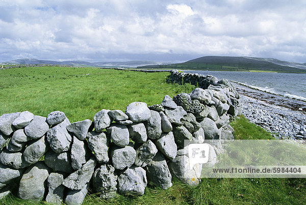 Dry stone wall  County Clare  Munster  Eire (Republic of Ireland)  Europe
