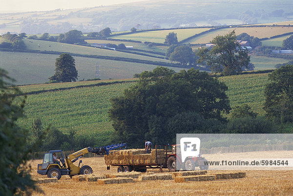 Harvesting near Bigbury  Devon  England  United Kingdom  Europe