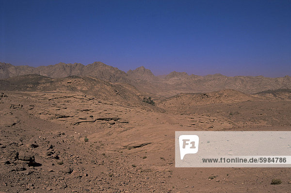 Tal der den Gazellen an der Straße nach St. Katharinen Kloster  Sinai Wüste  Ägypten  Nordafrika  Afrika