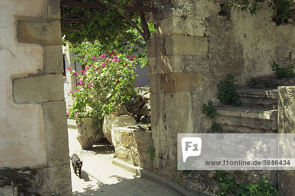 Hof Eingang  Kastelli  in der Nähe von Chania  Kreta  griechische Inseln  Griechenland  Europa