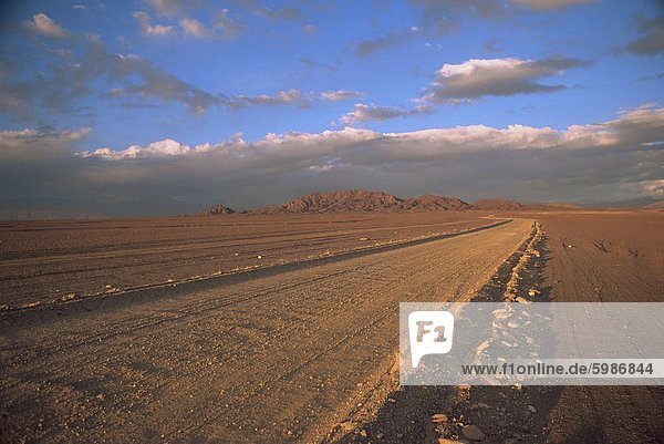 Pampa  Llalqui  Atacamawüste  Chile  Südamerika