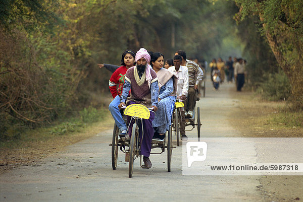Transport in die Tierwelt Heiligtum  Bharatpur  Rajasthan Indien  Asien
