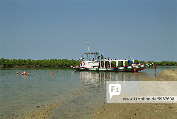 Tourist boat on backwaters near Banjul  Gambia  West Africa  Africa