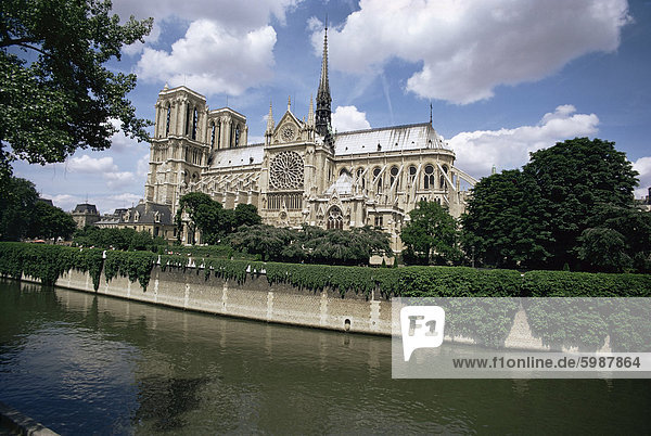 Notre Dame de Paris  Ile De La Cite  Paris  Frankreich  Europa