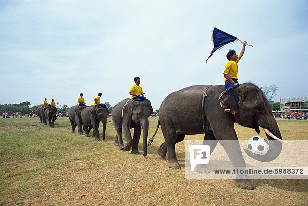 hoch oben Großstadt Elefant Festival Südostasien Asien Linie November rund Fußballmannschaft Thailand