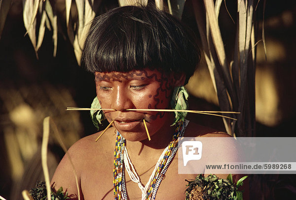 Porträt einer Frau Yanomami mit Nase-Sticks und Gesichts Dekoration in Brasilien  Südamerika
