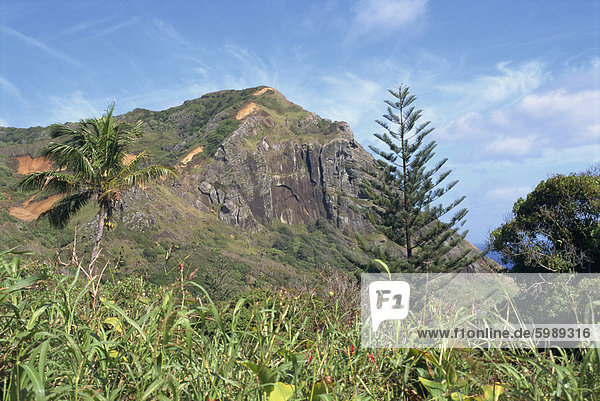 Landschaft der felsigen Hügeln und Vegetation auf Pitcairn Insel,  Pazifik