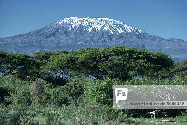 Mount Kilimanjaro  Tansania  Ostafrika  Afrika