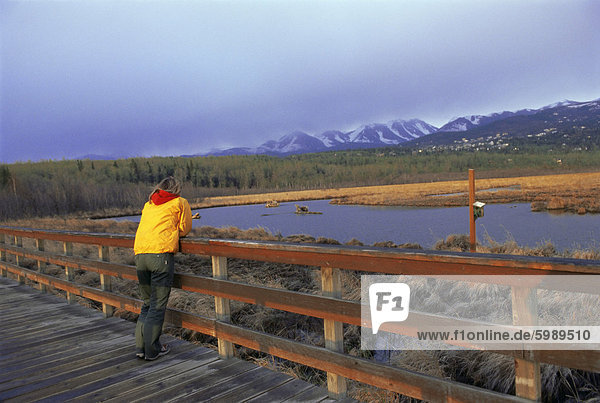Vogelschutzgebiet an Potters Marsh  Anchorage  Alaska  Vereinigte Staaten von Amerika  Nordamerika