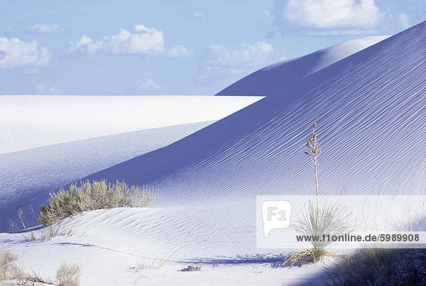Sanddünen  Wüste White Sands  New Mexico  Vereinigte Staaten  Nordamerika