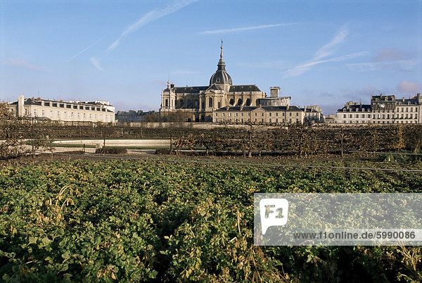 Potager du Roi (Gemüsegarten des Königs)  Versailles und St. Louis Church  Ile-de-France  Frankreich  Europa