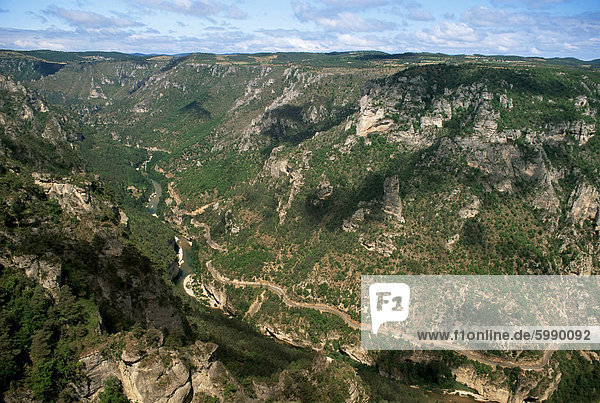 Blick vom Roc des Hourtous des Gorges du Tarn  Lozere  Languedoc-Roussillon  Frankreich  Europa