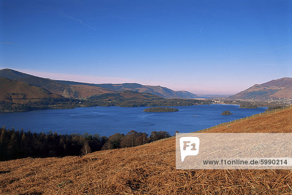 Derwent Water from Brown Knotts  Lake District National Park  Cumbria  England  United Kingdom  Europe