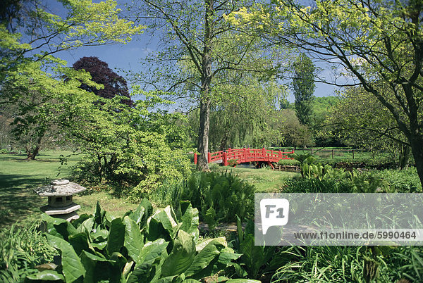 Japanische Brücke  Heale House Gärten  mittlere Woodford  Wiltshire  England  Großbritannien  Europa