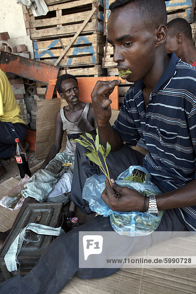 Locals chew qat in Djibouti City  Djibouti  Africa