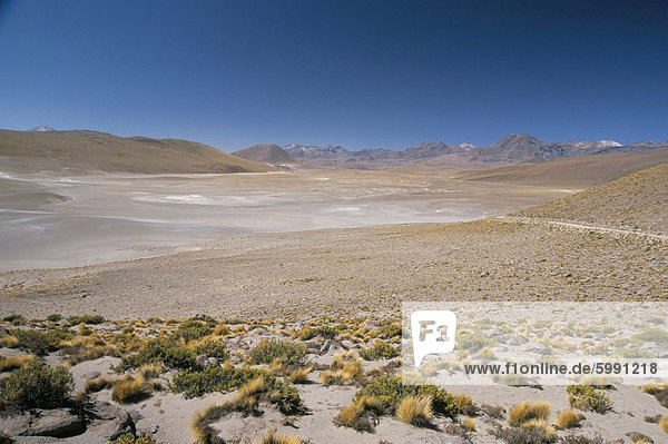 Altiplano und hochrangigen Vulkane  El Tatio Becken  über Calama  Atacamawüste  Chile  Südamerika