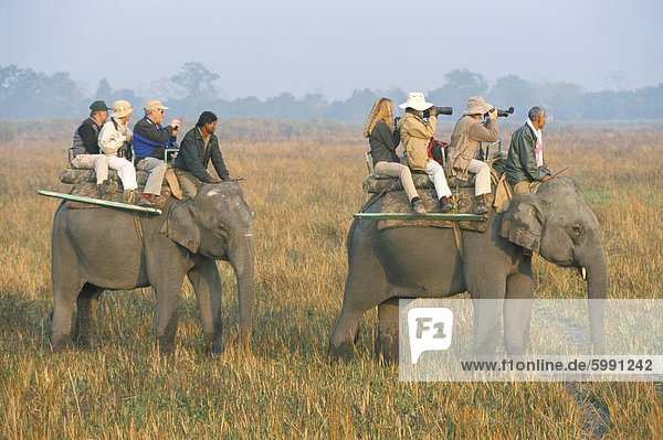 Safari on elephant back  tourists in Kaziranga National Park  Assam state  India  Asia