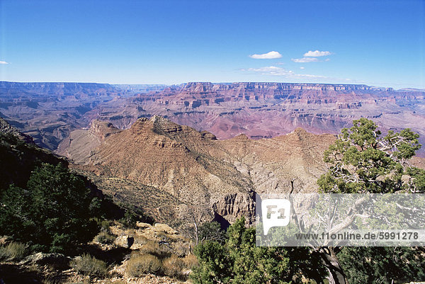 Süd Rim  Grand Canyon  UNESCO World Heritage Site  Arizona  Vereinigte Staaten  Nordamerika