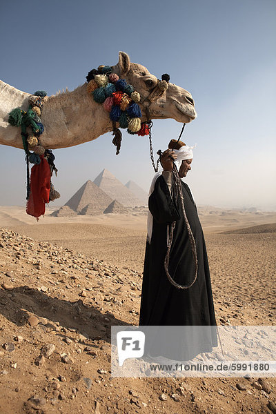 Ein Beduinen-Reiseführer mit seinem Kamel  mit Blick auf das Pyramiden von Gizeh  Kairo  Ägypten  Nordafrika  Afrika