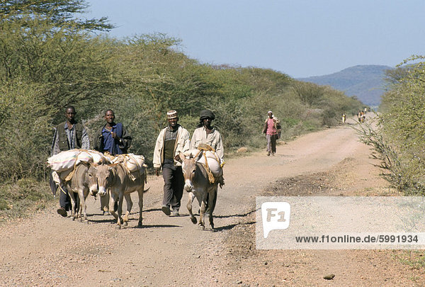 The long walk to the Saturday market at Sof Omar  Southern Highlands  Ethiopia  Africa