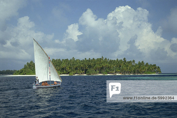 Segelboot aus einer tropischen Insel in den Malediven  Indischer Ozean  Asien
