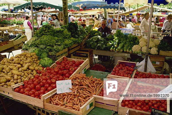 Gemüse wie Karotten  Tomaten und Salat  für den Verkauf auf Markttag am Euze  Gascoigne Gascogne  Midi-Pyrenees  Frankreich  Europa