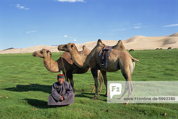 Mann in traditioneller Kleidung mit zwei Kamelen aus einer Kamelkarawane  Gobi-Nationalpark  Wüste Gobi  Khongoryn Els Düne  Omnogov  Mongolei  Zentralasien  Asien