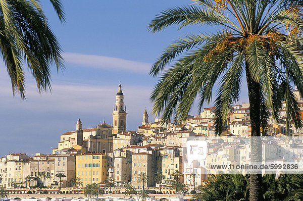 Altstadt  umrahmt von Palmen  Menton  Alpes-Maritimes  Cote d ' Azur  Provence  Côte d ' Azur  Frankreich  Mediterranean  Europa