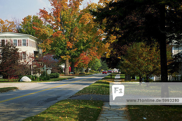 Suburban street scene in the autumn (fall)  Manchester  Vermont  New England  United States of America  North America