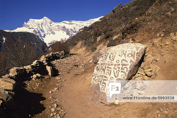 Mani Steine gedruckt mit tibetischen gebeten neben einer Spur im Solu Khumbu  Nepal  Asien