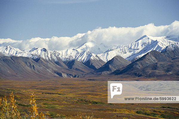Schneegrenze auf Alaska Range  Denali Nationalpark  Alaska  Vereinigte Staaten von Amerika  Nordamerika
