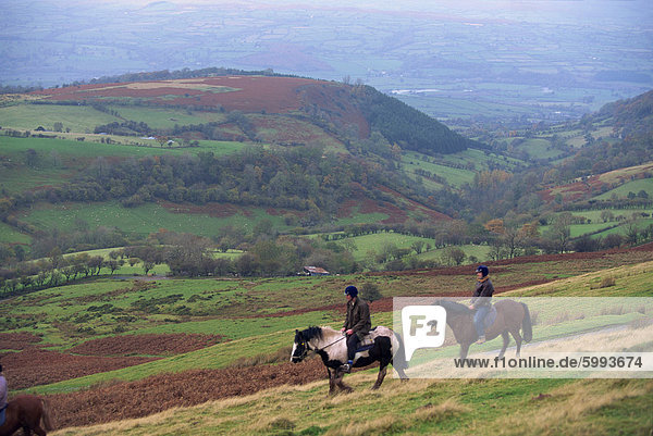 Horse riding near Gospel Pass  Black Mountains  Gwent  Wales  United Kingdom  Europe