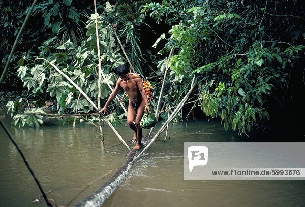 Yanomami Mann mit Peach Palm Frucht überqueren einen Fluss  Brasilien  Südamerika