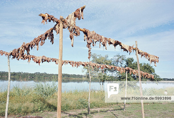 Wildschwein Fleisch hängen zum Trocknen  Diararum Xingu Nationalpark  Brasilien  Südamerika