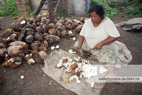 Frau Kopra Arbeitnehmer Aushöhlung Kokos-Kernel vor Rauchen  auf Taveuni Island  Fiji  Pazifische Inseln  Pazifik