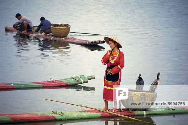 Frau in traditioneller Kleidung auf einem Floß mit Kormorane auf dem Lijiang (Fluss Li) in Guanxi Provinz  China  Asien